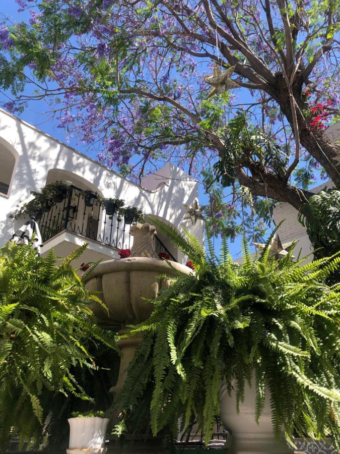 Casa Lani Luxury B&B Σαν Μιγκέλ ντε Αγιέντε Εξωτερικό φωτογραφία