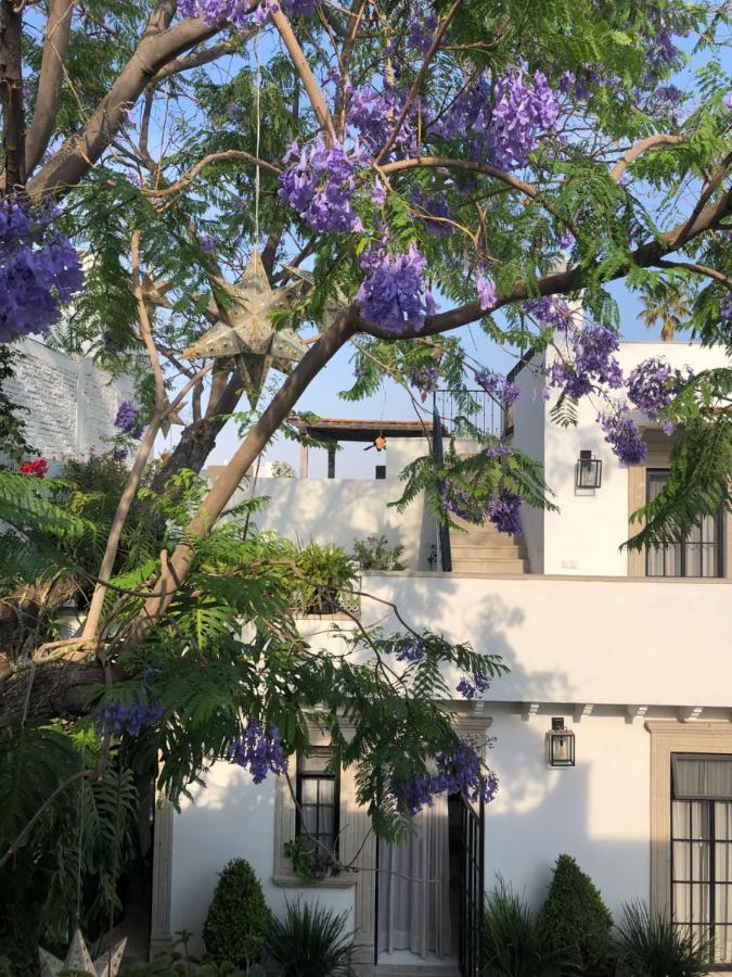 Casa Lani Luxury B&B Σαν Μιγκέλ ντε Αγιέντε Εξωτερικό φωτογραφία