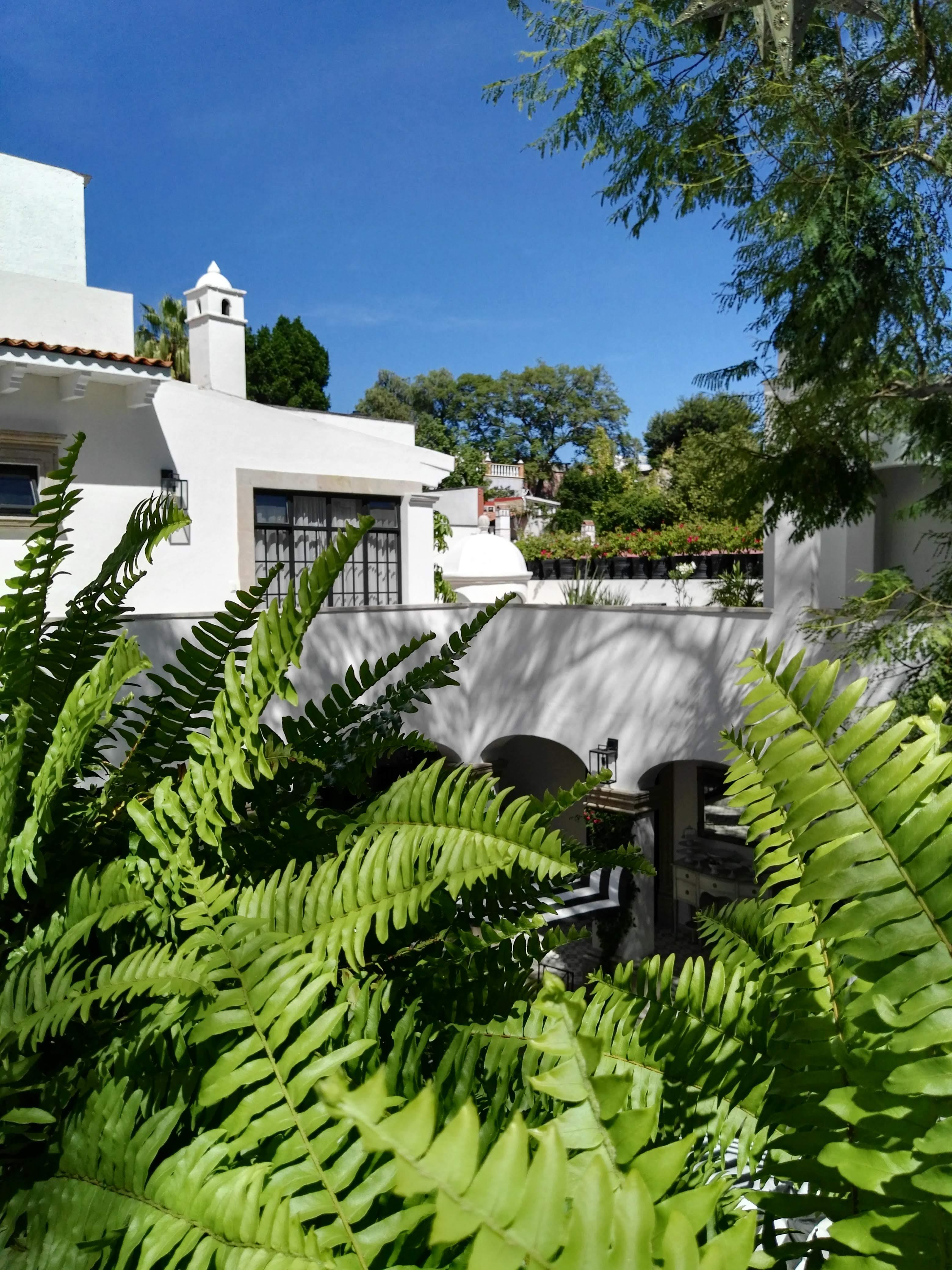 Casa Lani Luxury B&B Σαν Μιγκέλ ντε Αγιέντε Εξωτερικό φωτογραφία