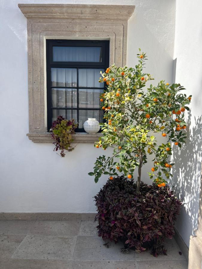 Casa Lani Luxury B&B Σαν Μιγκέλ ντε Αγιέντε Εξωτερικό φωτογραφία